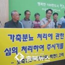 호죽2리 네이버블로그