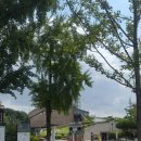 한성백제박물관 이미지