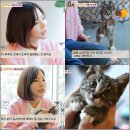 순규농장 이미지