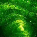 노원-상계-2224 이미지