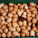 미래숲 토종닭