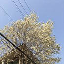 대우아파트할머니 경로당 이미지