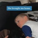 지 동물병원 이미지