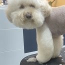 딱이네미용실 이미지