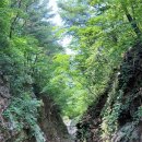 폭포민박 이미지