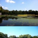 무심교옆 이미지