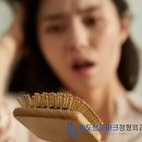 송도 식품
