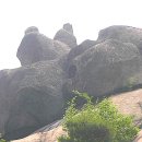 탐한미