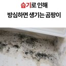 옷장 미니제습기 원룸 화장실 클래파 꼭 필요한 이유