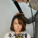 드라이세상 이미지