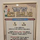 소피아힐링 이미지