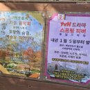 청하중학교 | tvN 드라마,스프링 피버 촬영지,포항 기청산식물원 스탬프 투어 후기