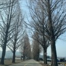 성심치과의원 이미지