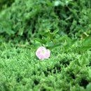 이리여자고등학교 이미지