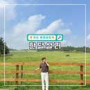 직장인의 10분 힐링 여행, JJ노마드 - 섬여행편 | 제주도 주말 가볼만한곳 및 제주 한달살이 여행지원금은 한달살러