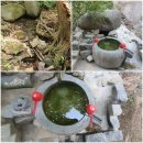 감로수약수터 이미지