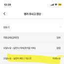 카랜드 이미지