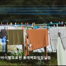 롯데로렌바이랄프로렌