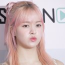 릴리 이미지