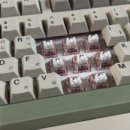 (주)리치하이 이미지