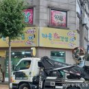 다온애견샵 이미지