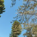 성북-돈암-2028 이미지