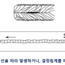 성산에코솔루션 네이버블로그