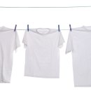 하얀세탁 이미지