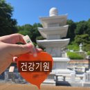 심학초등학교 | 파주 심학산 약천사 다녀온 후기 연등 초 밝히며 건강 소원 빌고 온 날
