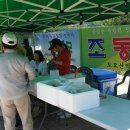 조선대학교부속고등학교