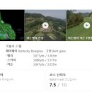 매니지먼트 히든 이미지