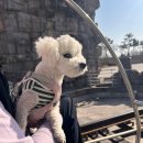 멍스하우스 | 생일 기념 1박 2일 인천 여행