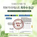 인셀덤잠실