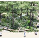 숲속 정원 이미지