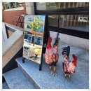 사림동138 이미지