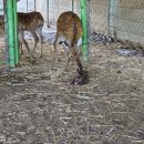 광개토농장 이미지