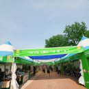 카페더펜션 | 가평 국내 태교여행) 가평 카페 '더 강' &amp; 자라섬 꽃...가평 가성비 펜션 '간이역펜션' 내돈내산 솔직후기-