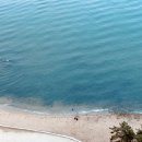 스탠포드호텔앤리조트(주) 이미지