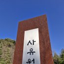 금지순환길 | 대구 근교 군위 사유원 워크인 현장발권해서 다녀온 솔직후기