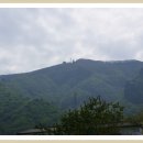 나리분지 Daum카페