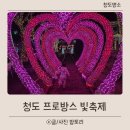 프로방스 | 청도 프로방스 빛축제 아이랑 겨울 가족여행지 추천