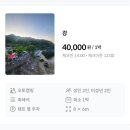 대천리초등학교 | 경남 밀양 물안개오토캠핑장 펜션 계곡 물놀이 당일치기 부산근교 평상대여 취사사능 내돈내산 후기