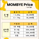 일산애견 네이버블로그
