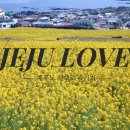 향산상회 | 11월 제주도 여행지 갈만한 곳 관광지 추천! 1편(여행꿀팁까지 모두 공개!)