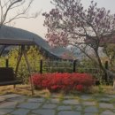 카페353 이미지