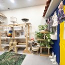 버만캣패밀리 이미지