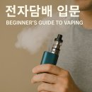 전자담배 티스토리