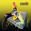 Suede - Beautiful Ones 이미지