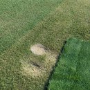 옥정체육공원 축구장 이미지