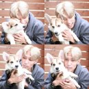 바비헤어샵 이미지